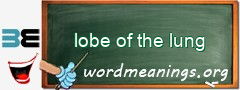 WordMeaning blackboard for lobe of the lung